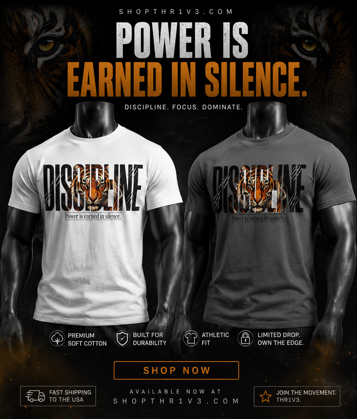 Discipline Tiger Graphic T-Shirt | Motivational Streetwear Shirt | Power Is Earned in Silence