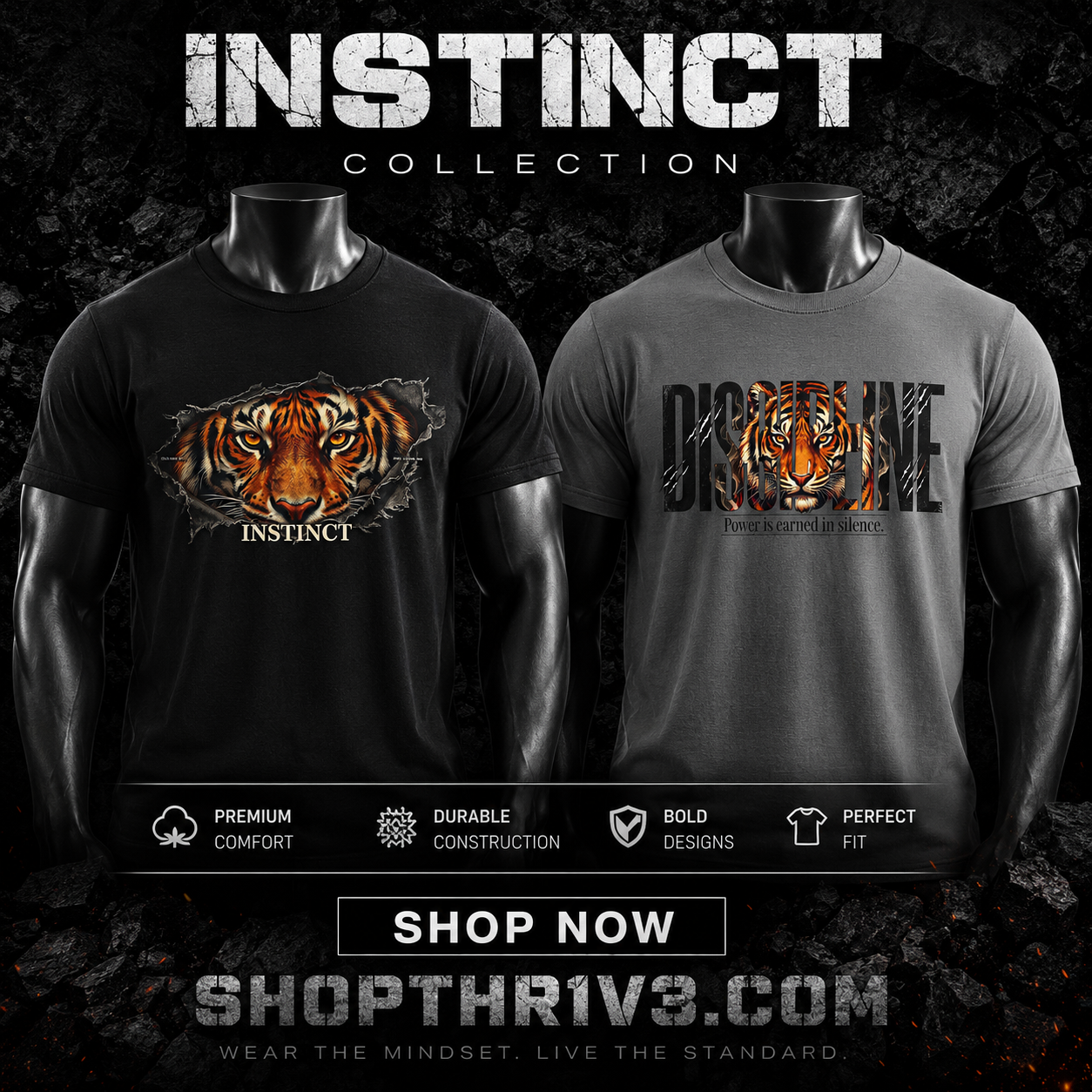 Discipline Tiger Graphic T-Shirt | Motivational Streetwear Shirt | Power Is Earned in Silence