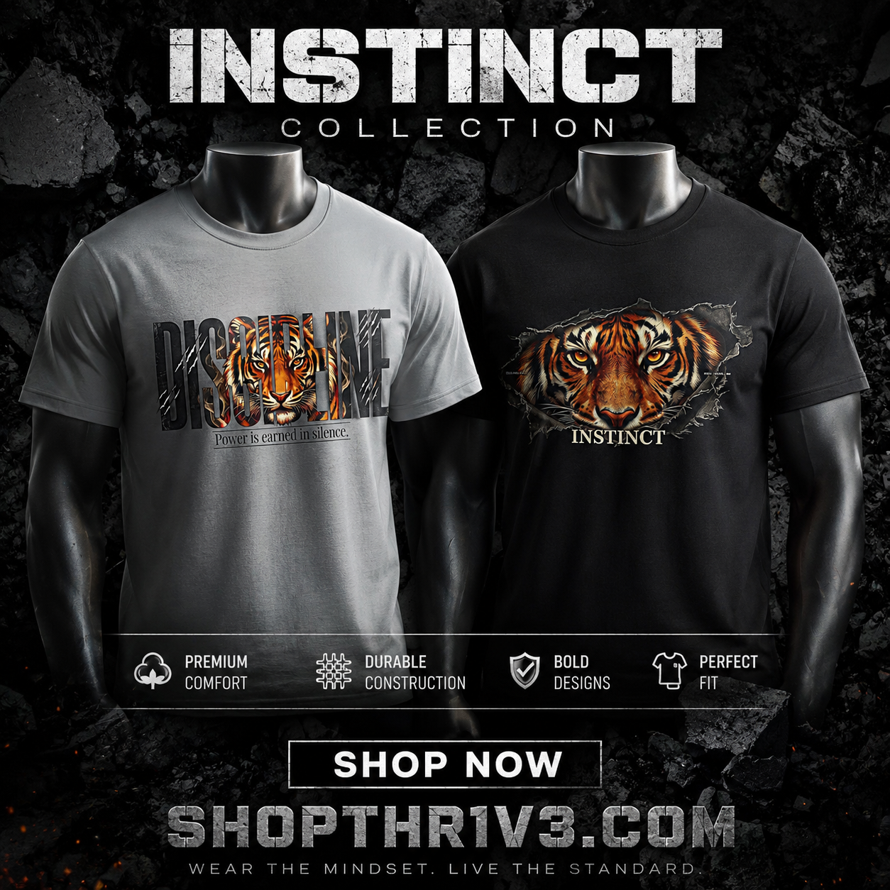 Discipline Tiger Graphic T-Shirt | Motivational Streetwear Shirt | Power Is Earned in Silence