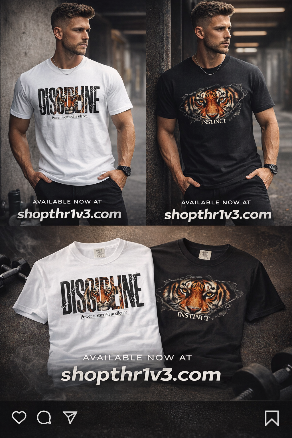 Discipline Tiger Graphic T-Shirt | Motivational Streetwear Shirt | Power Is Earned in Silence